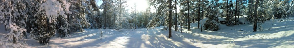 NWP_130120_0000