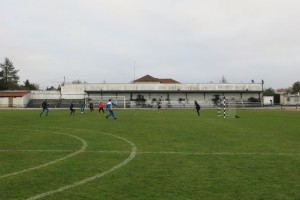 15 fudis