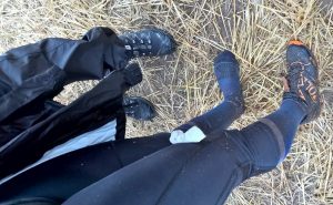 WP_20150906_13_17_29_Pro