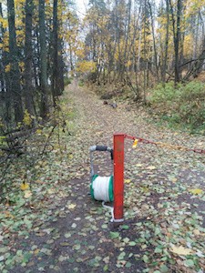 Maalisuora aamuvarhaisessa