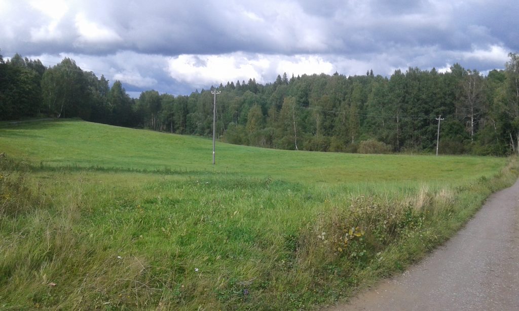 Kisakeskus ennen elokuun toisella viikolla