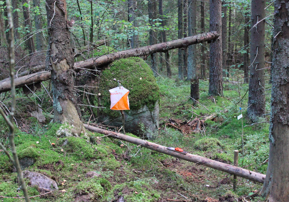 Screen Shot 2016-09-05 at 20.54.25